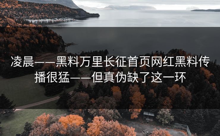 凌晨——黑料万里长征首页网红黑料传播很猛——但真伪缺了这一环 凌晨——黑料万里长征首页网红黑料传播很猛——但真伪缺了这一环