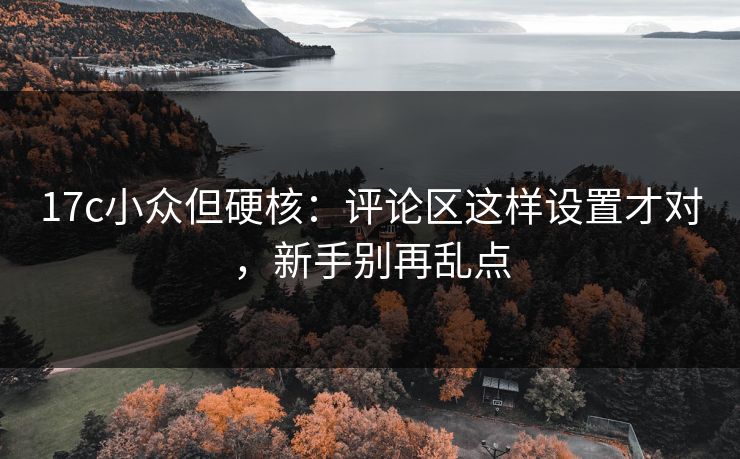 17c小众但硬核:评论区这样设置才对,新手别再乱点 17c小众但硬核:评论区这样设置才对,新手别再乱点